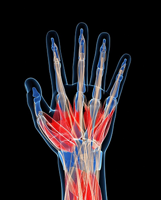 Hand and Wrist Centre (HWC) Micro vascular surgery